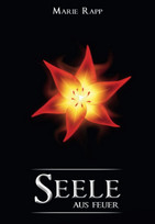 Seele aus Feuer (Seelen-Saga 2)