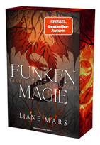 Funkenmagie - Farbenspiel der Nacht