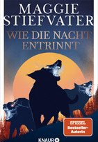 Wie die Nacht entrinnt (Dreamer-Trilogie 3)