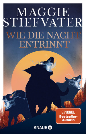 Wie die Nacht entrinnt (Dreamer-Trilogie 3)