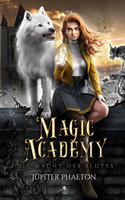 Die Macht des Blutes (Magic Academy 4)