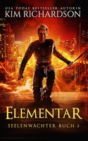 Elementar (Seelenwächter - Buch 2)