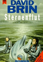 Sternenflut