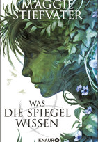 Was die Spiegel wissen (Raven Boys 3)