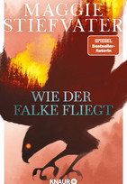 Wie der Falke fliegt (Dreamer-Trilogie 1)