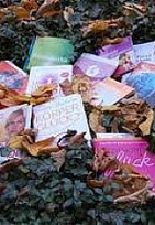 Das Schwert des Geistes