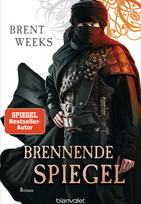 Brennende Spiegel (Licht-Saga 6)