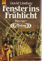 Fenster ins Frühlicht