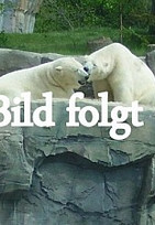 Das verlorene Paradox