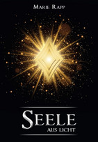 Seele aus Licht (Seelen-Saga 3)