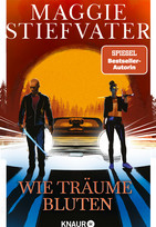Wie Träume bluten (Dreamer-Trilogie 2)