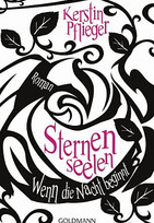 Wenn die Nacht beginnt - Sternenseelen (1)